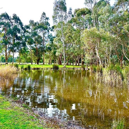 Grampians Chalets ฮอลส์แกป ภายนอก รูปภาพ