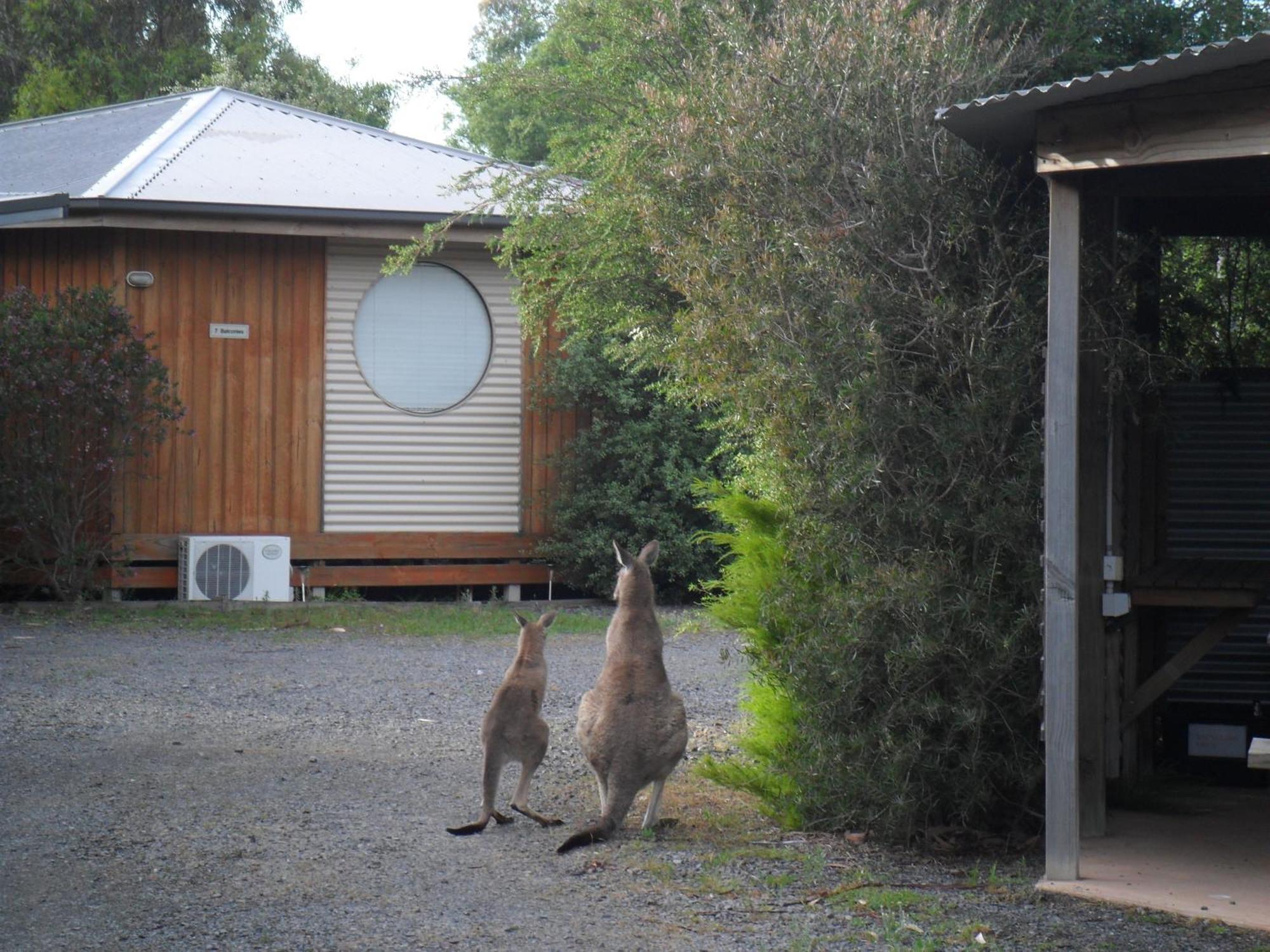 Grampians Chalets ฮอลส์แกป ภายนอก รูปภาพ