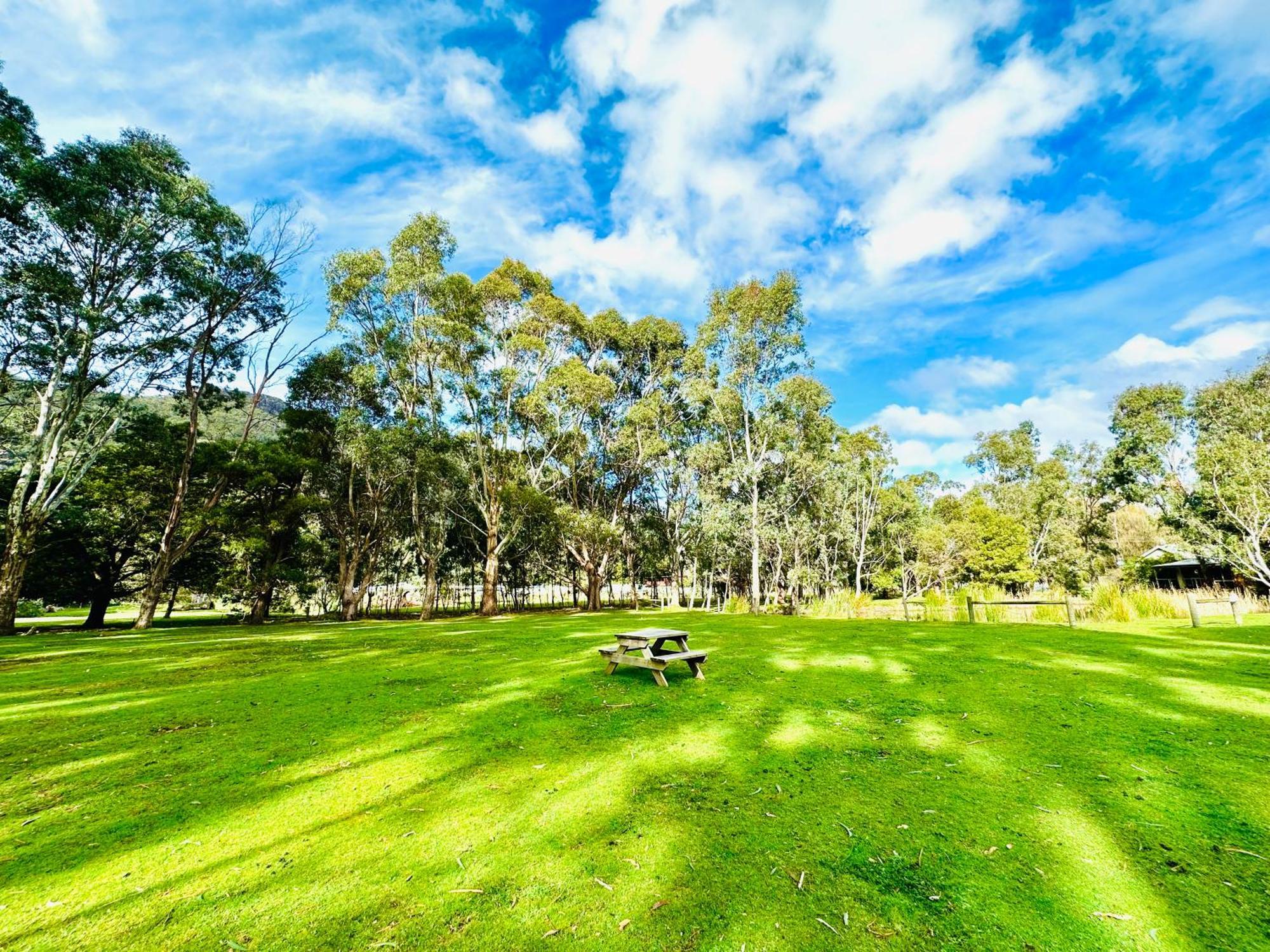 Grampians Chalets ฮอลส์แกป ภายนอก รูปภาพ