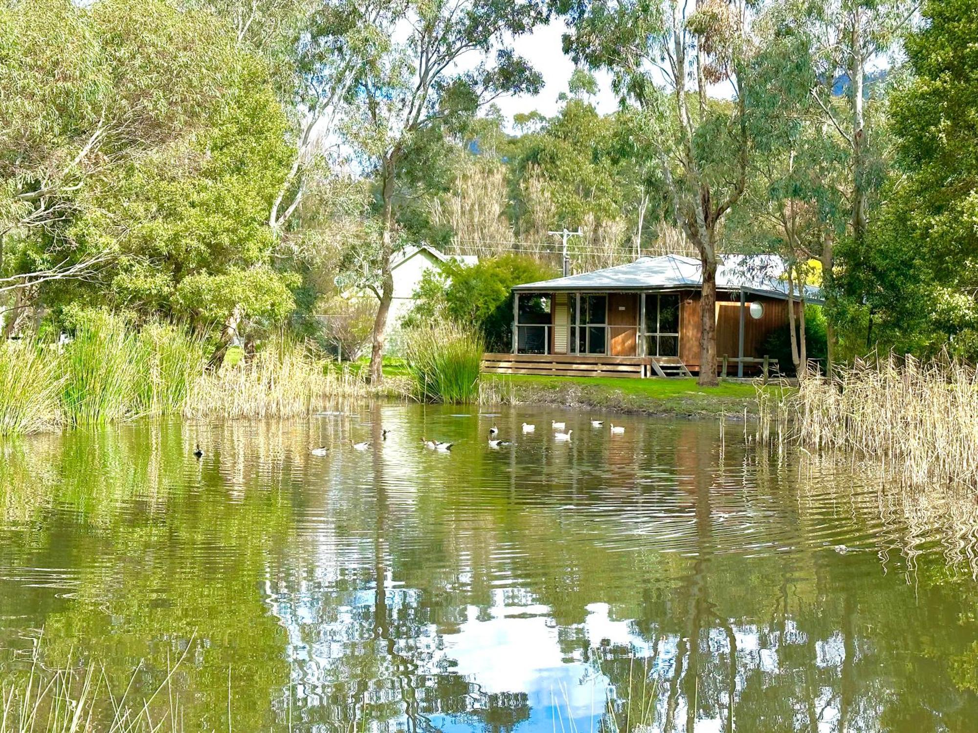 Grampians Chalets ฮอลส์แกป ภายนอก รูปภาพ