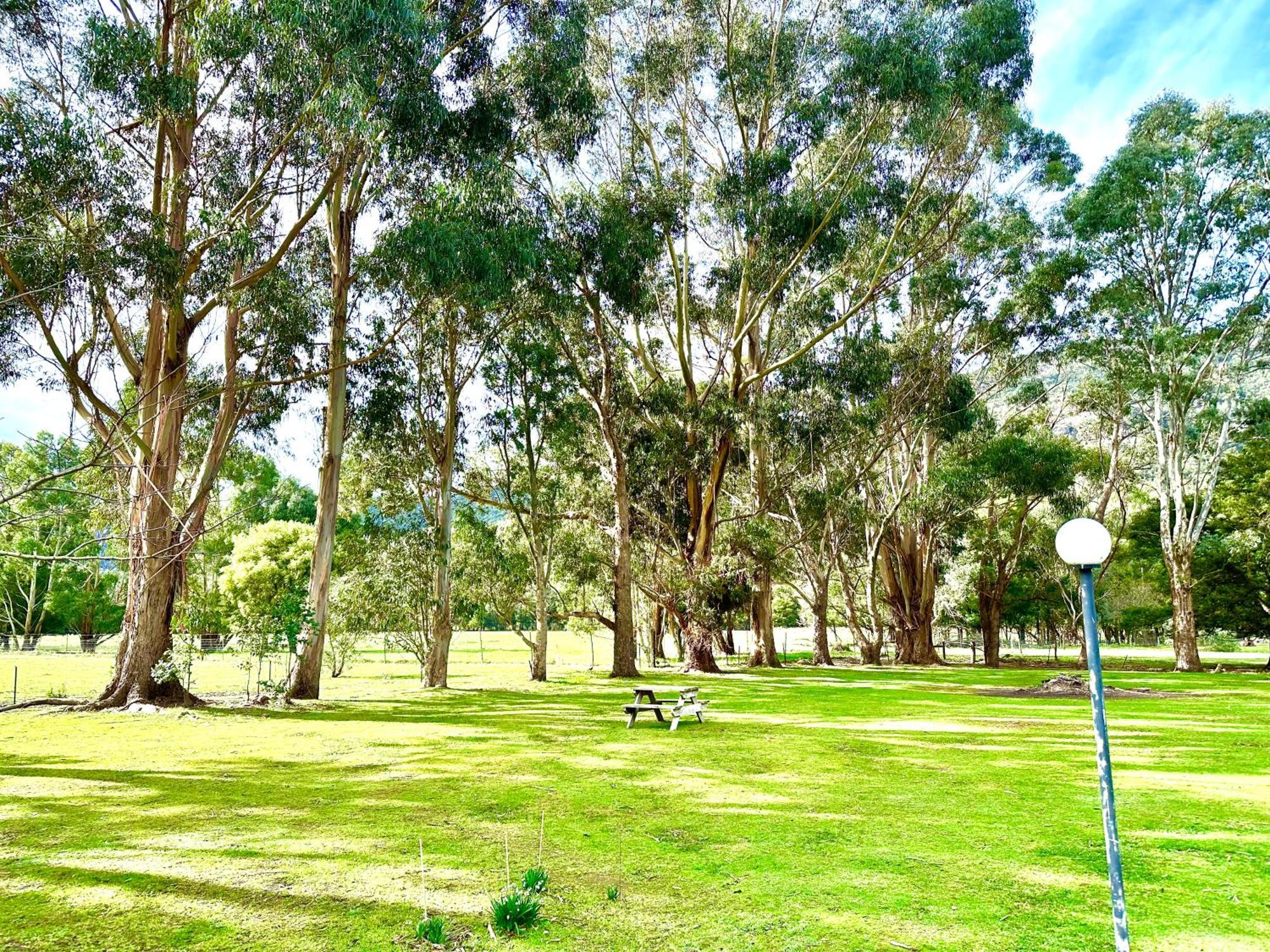 Grampians Chalets ฮอลส์แกป ภายนอก รูปภาพ